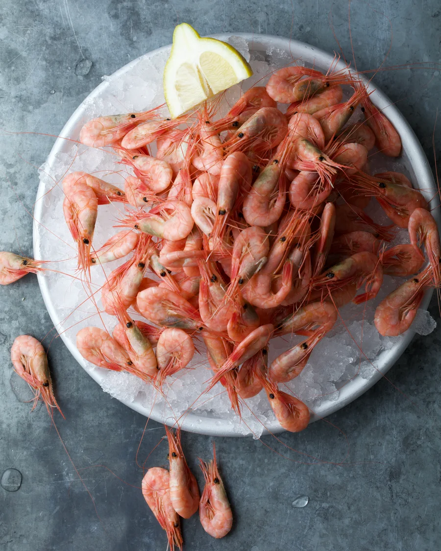 Färska räkor på is med en citronklyfta